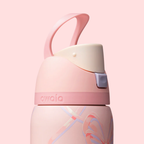 Owala FreeSip 32 oz Sugar Plum Fairy l Original