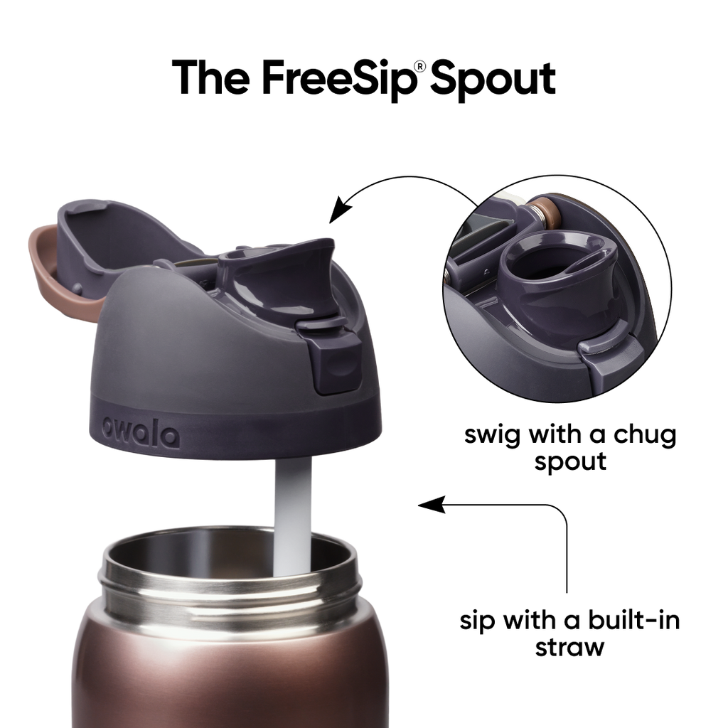 Owala FreeSip 32 oz Desert Smoke